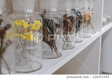 罐子裡的乾燥花展示 120471545