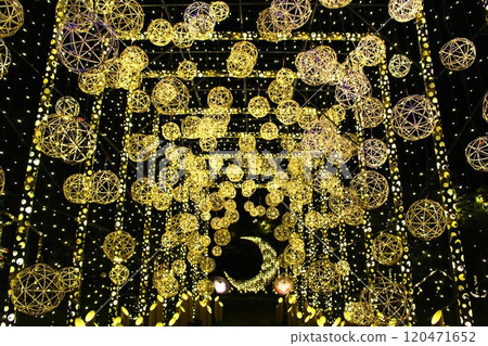 輝夜公主的發光花園中壯觀的竹燈 120471652