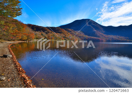 秋葉的赤城大沼 從湖邊看秋景 120471663