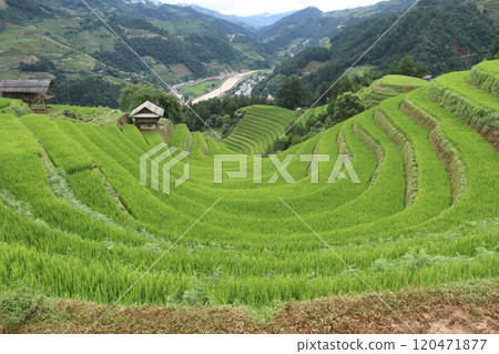 越南引以為傲的Mu Kan Chai梯田 120471877