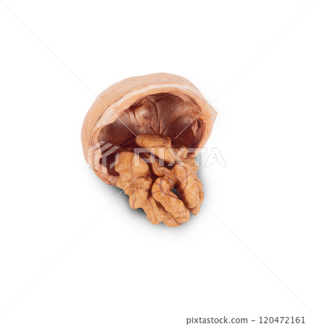 Walnut Organic Healthy Nut on White Background. File With Clipping Path. 120472161