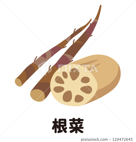 根莖類蔬菜：蓮藕、牛蒡 120472645
