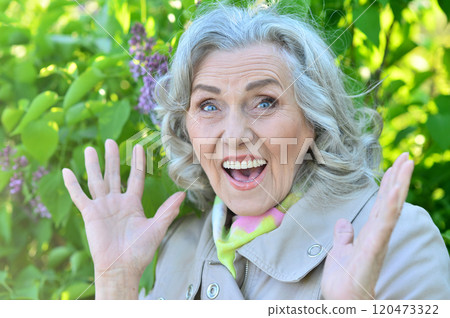 Portrait of a beautiful elderly woman in the park 120473322