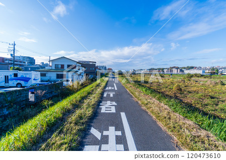 Autumn walk 120473610