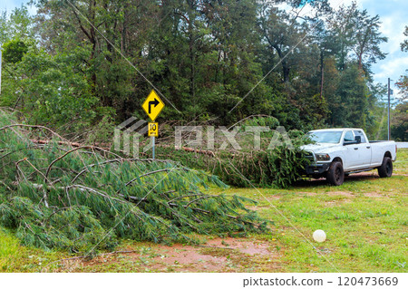 Pickup truck is partially hidden by branches from large fallen tree on rural road during severe hurricane recent storms in area. Pickup truck is partially hidden by branches from large fallen tree on rural road during severe hurricane recent storms in area. 120473669