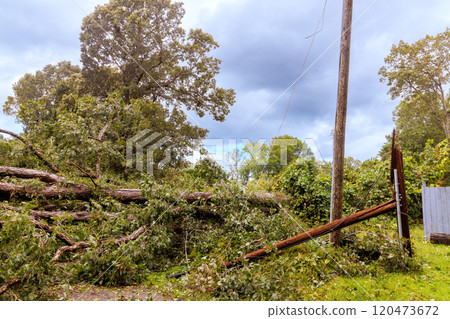 Strong winds from hurricane storm toppled several trees, blocking rural road, causing significant disruption to local traffic power lines. 120473672