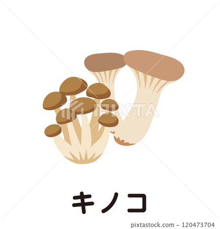 蘑菇蔬菜 Shimeji Eringi 120473704