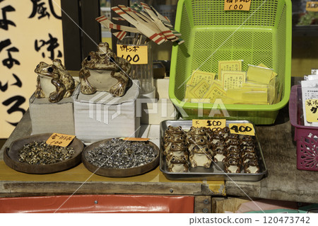 筑波山的蟾蜍飾物 120473742