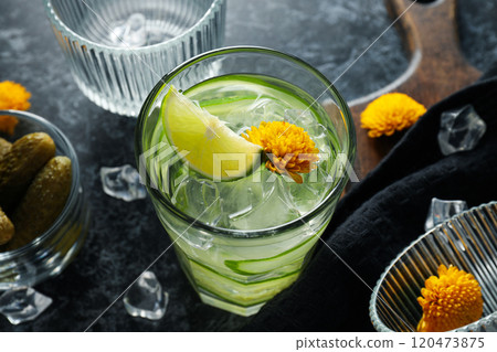 Brine cocktail, lime, flowers, glasses and ice on dark background, close up Brine cocktail, lime, flowers, glasses and ice on dark background, close up 120473875