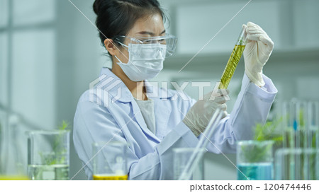 A template picture of melaleuca experiment, a frontal angle of a female scientist holding a test tube containing a tea tree solution and observing. Laboratory setting with full glass equipment. 120474446