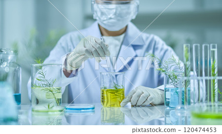 On a table with several beakers, materials, test tubes, and natural ingredients, a front view of a scientist stirring a solution with a tea tree inside. A template photo with a laboratory backdrop. 120474453