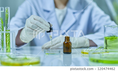 A example image showing the researcher dripping tea tree essence into the petri plate from the brown, label less container while accompanied by all the necessary tools for a melaleuca testing. A example image showing the researcher dripping tea tree essence into the petri plate from the brown, label less container while accompanied by all the necessary tools for a melaleuca testing. 120474462