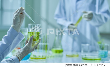 One researcher dripped green liquid onto the beaker containing a tea tree solution, while another held a test tube to observe. A close-up viewpoint photo template in the lab background. One researcher dripped green liquid onto the beaker containing a tea tree solution, while another held a test tube to observe. A close-up viewpoint photo template in the lab background. 120474470