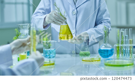 Template image shows the background of a Melaleuca experiment, with a scientist holding and examining a yellow solution in a test tube while another shakes a tea tree solution in a flask. 120474473