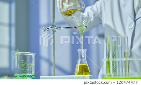 A close-up of a scientist pouring a yellow substance into a funnel on a hanger above a beaker containing tea tree solution, next to a beaker and test tubes containing melaleuca branches and solution. 120474477