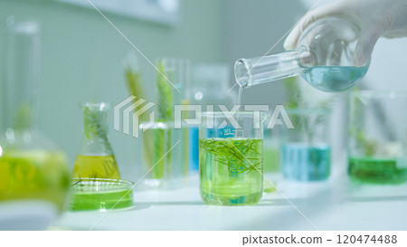 A close-up of the beaker containing a tea tree solution was filling with blue liquid from the Erlenmeyer held by the scientist. Template photo in lab background with full laboratory equipment. A close-up of the beaker containing a tea tree solution was filling with blue liquid from the Erlenmeyer held by the scientist. Template photo in lab background with full laboratory equipment. 120474488
