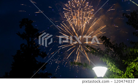 Sumidagawa Fireworks Festival 2024 in Tokyo Sumidagawa Fireworks Festival 2024 in Tokyo 120474837