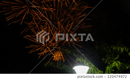 Sumidagawa Fireworks Festival 2024 in Tokyo Sumidagawa Fireworks Festival 2024 in Tokyo 120474972