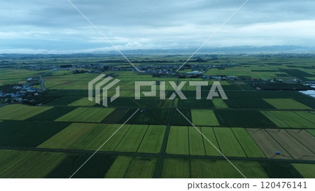 Rural landscape 120476141