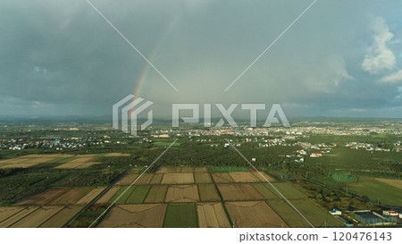 Rainbow  120476143