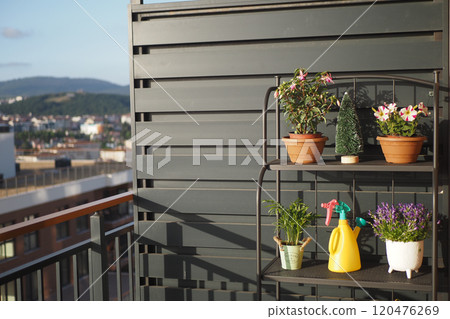 A Charming and Inviting Balcony Garden Featuring Vibrant Potted Plants and Gardening Tools 120476269