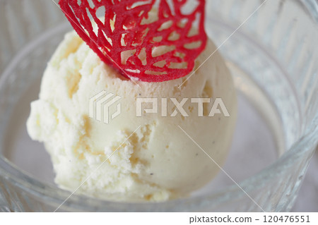 Enjoy a scoop of delicious vanilla ice cream that is beautifully served in a decorative glass dish 120476551