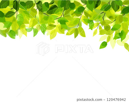 Fresh green top 120476942