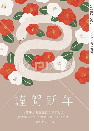 New Year's card design illustration Year of the Snake 120476983