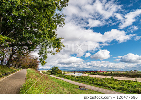 深秋時節，從京都府八幡市瀨割堤眺望木津川美雪橋 120477686