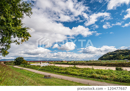 A view of the Kizugawa River from the Sewari embankment in late autumn in the direction of Miyuki Bridge, Yawata City, Kyoto Prefecture 120477687
