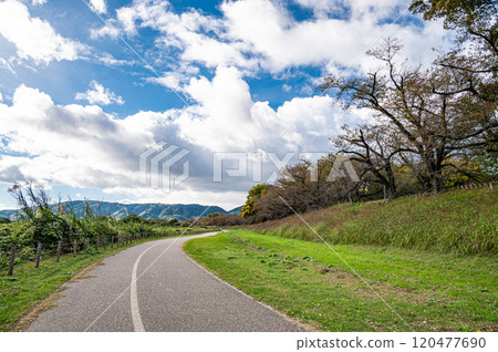 深秋的瀨割防堤，木津川河床風景，京都府八幡市 120477690
