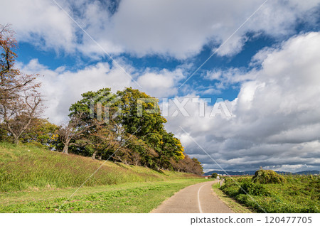 深秋的 Sewari 堤壩，木津川側景，京都府八幡市 120477705