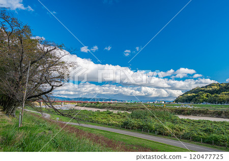 深秋時節，從京都府八幡市的瀨割堤眺望木津川 120477725