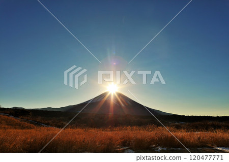 Diamond Fuji 120477771