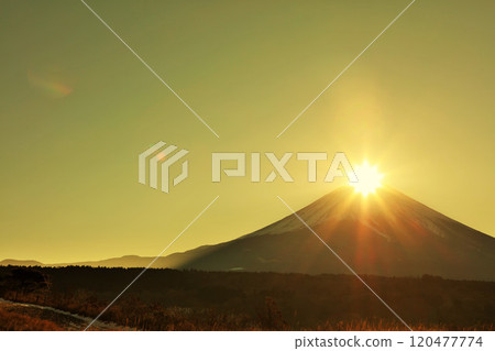 Diamond Fuji Diamond Fuji 120477774