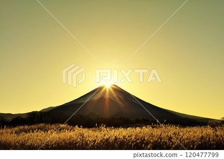 鑽石富士 120477799