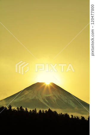 靜岡縣朝霧高原的鑽石富士 靜岡縣朝霧高原的鑽石富士 120477800