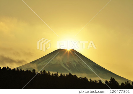 Diamond Fuji from Asagiri Plateau, Shizuoka Prefecture 120477801