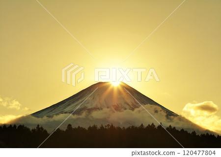 Diamond Fuji from Asagiri Plateau, Shizuoka Prefecture 120477804