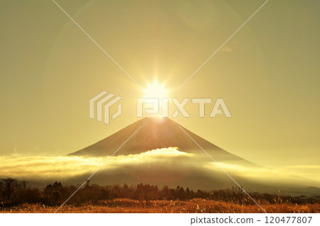 Diamond Fuji 120477807