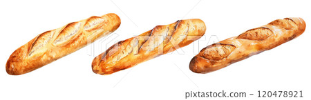Watercolor Baguettes 120478921