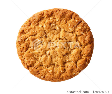 Oatmeal Cookie 120478924