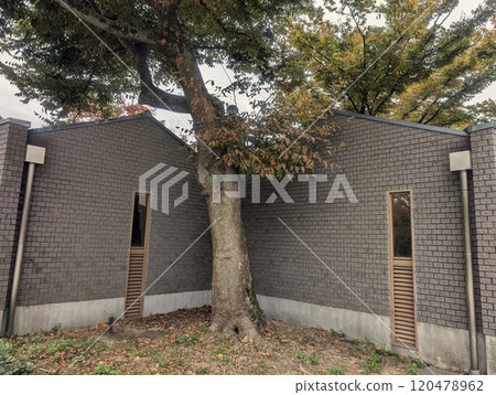 A symmetrical building 120478962