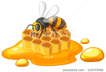 Bee on Honeycomb with Honey Drips Bee on Honeycomb with Honey Drips 120479086