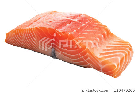 Piece of Salmon 120479209