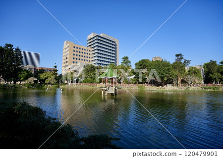 National Taiwan University, Lingyue Lake (Da'an District, Taipei, Taiwan) 120479901