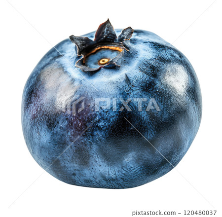 Blueberry 120480037