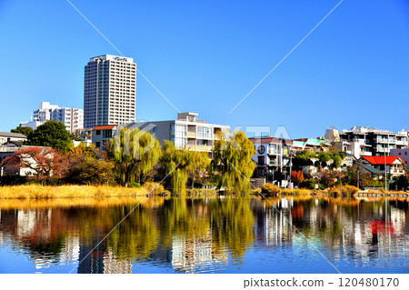 Shakujii Park (Nerima-ku, Tokyo) [November 2024] 120480170