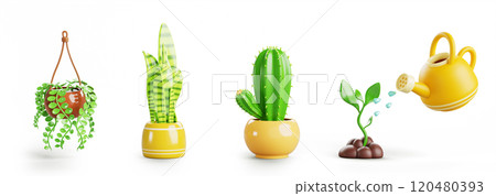 House plant in hanging and flower pot 3d render icon set. Cactus, sansevieria, climbing plant with green leaf, yellow watering can pours water on sprout grow in soil, home garden care. 3D illustration 120480393