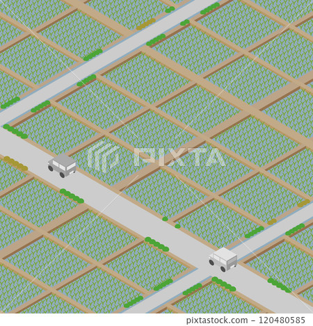 Isometric image of a rural landscape with rice fields Isometric image of a rural landscape with rice fields 120480585